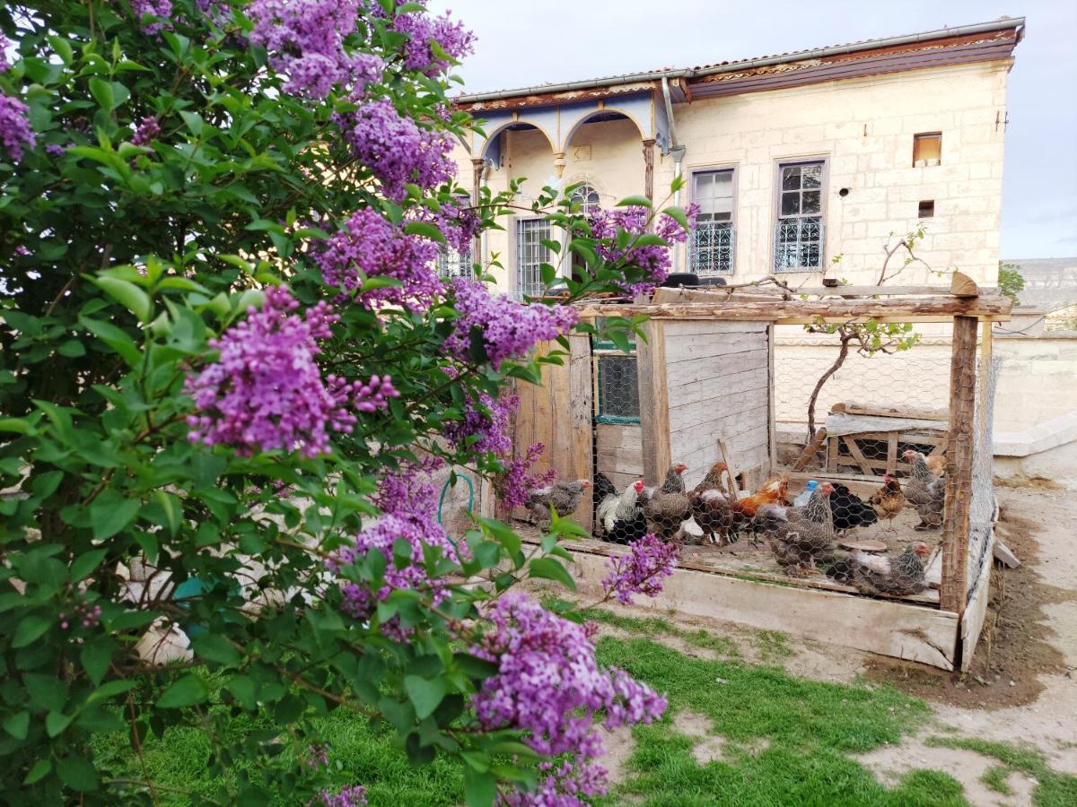 Armesos Cave Hotel Юргюп Екстериор снимка